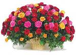     
: images.jpg
: 68
:	11.3 
ID:	9758809