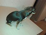     
: 20150427_204359.jpg
: 6
:	97.8 
ID:	9763763