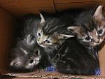     
: E0dfF7YFp9I.jpg
: 47
:	134.4 
ID:	9764144