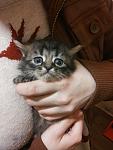     
: TToS9CKngQs-1.jpg
: 39
:	85.2 
ID:	9764146