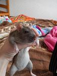     
: DSCN1128.jpg
: 26
:	76.1 
ID:	9764318