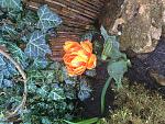     
: image.jpg
: 8
:	275.0 
ID:	9768410