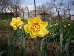     
: P1010355.jpg
: 10
:	122.1 
ID:	9768638