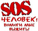     
: F6IS8mZVb48.jpg
: 38
:	54.0 
ID:	9769310
