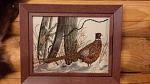     
: 20150426_212621_1_bestshot.jpg
: 52
:	110.5 
ID:	9769690