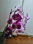     
: IMG_20150429_150241.jpg
: 134
:	74.7 
ID:	9772684