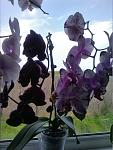     
: IMG_20150429_150154.jpg
: 132
:	85.8 
ID:	9772685