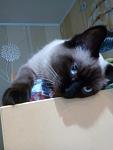     
: IMG_20150429_113207.jpg
: 21
:	63.2 
ID:	9774743