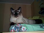     
: IMG_20150429_113041.jpg
: 24
:	112.9 
ID:	9774752