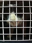     
: IMG_1882.jpg
: 25
:	83.3 
ID:	9776925