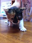     
: IMG_1869.jpg
: 24
:	93.1 
ID:	9777103