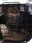     
: IMG_1876.jpg
: 19
:	86.6 
ID:	9777104