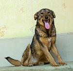     
: DSC_4114.jpg
: 2
:	144.0 
ID:	9777230