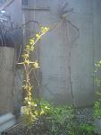     
: DSC00398.jpg
: 27
:	83.3 
ID:	9777482