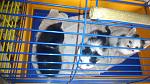    
: DSC_0949.jpg
: 26
:	125.8 
ID:	9778712