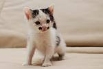     
: DSC_2468.jpg
: 38
:	54.0 
ID:	9779853