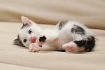     
: DSC_2550.jpg
: 32
:	65.0 
ID:	9779857