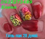    
: IMG_1351 г-л 28 дней.jpg
: 14
:	20.5 
ID:	9784448