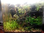     
: IMG_20150503_125726_1.jpg
: 31
:	170.6 
ID:	9785715