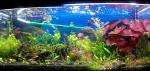     
: IMG_20150502_204322.JPG
: 29
:	140.0 
ID:	9785720