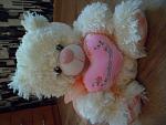     
: SAM_8790.jpg
: 25
:	108.9 
ID:	9790167