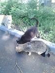     
: Фото0158.jpg
: 14
:	26.7 
ID:	9791717