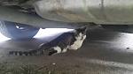    
: 20150504_193114.jpg
: 59
:	67.8 
ID:	9792771