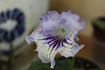     
: IMG_6361.jpg
: 19
:	73.4 
ID:	9794018