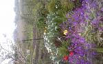     
: 20150505_145913.jpg
: 64
:	159.2 
ID:	9796067