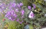     
: 20150505_145458.jpg
: 74
:	166.1 
ID:	9796113