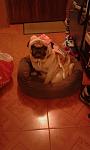     
: IMG-1430464153317-V.jpg
: 44
:	62.5 
ID:	9796575