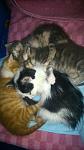     
: DSC_0992.jpg
: 25
:	62.4 
ID:	9798494