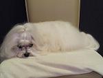     
: 20150503_153742.jpg
: 20
:	81.3 
ID:	9798727
