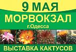     
: 9-may.jpg
: 7
:	106.0 
ID:	9801056