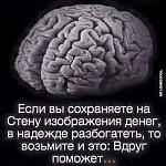     
: 11070664_815792681837049_3524316041793296814_n.jpg
: 4
:	33.1 
ID:	9802110