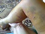     
: Фото2126.jpg
: 59
:	142.6 
ID:	9802142