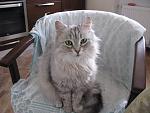     
: IMG_3983.jpg
: 13
:	149.8 
ID:	9803238