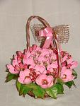     
: DSC09555.jpg
: 13
:	97.6 
ID:	9808069