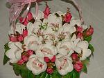     
: DSC09575.jpg
: 9
:	151.6 
ID:	9808073
