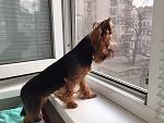     
: IMG_0144(2).JPG
: 21
:	295.3 
ID:	9808632