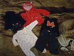     
: DSC01678.jpg
: 21
:	101.3 
ID:	9809032