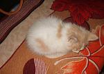     
: S8305385.jpg
: 21
:	62.9 
ID:	9813742