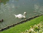     
: Olympus 012.jpg
: 13
:	158.9 
ID:	9814152