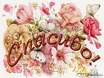     
: 136088_12138-550x500.jpg
: 15
:	146.1 
ID:	9818646