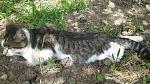     
: 20150510_134917.jpg
: 19
:	242.9 
ID:	9820004