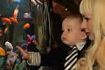     
: WMQMvJ7kt10.jpg
: 10
:	181.7 
ID:	9822896