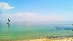     
: IMAG5120_1.jpg
: 30
:	87.5 
ID:	9822913