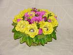     
: DSC09832.jpg
: 12
:	115.8 
ID:	9825819
