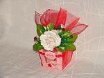     
: DSC08979.jpg
: 7
:	99.0 
ID:	9829194