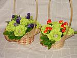     
: DSC08025.jpg
: 6
:	136.6 
ID:	9829197